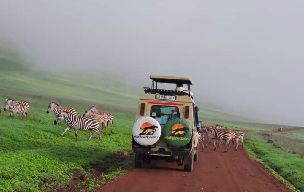 Locally owned Tanzania tour operator