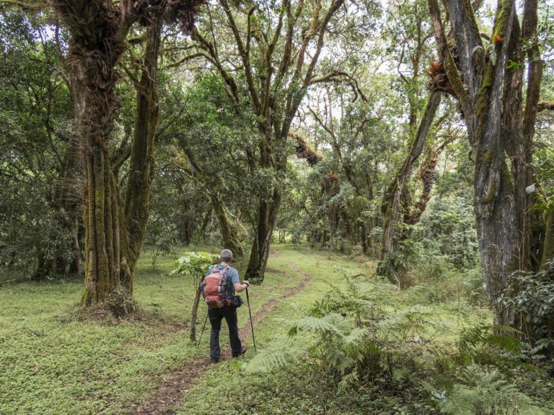 Arusha-National-Park-Tanzania-Safari-6