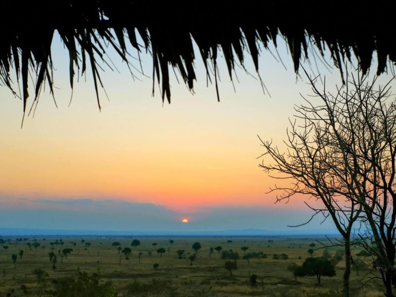 Mikumi-national-park-Tanzania-Safari-2