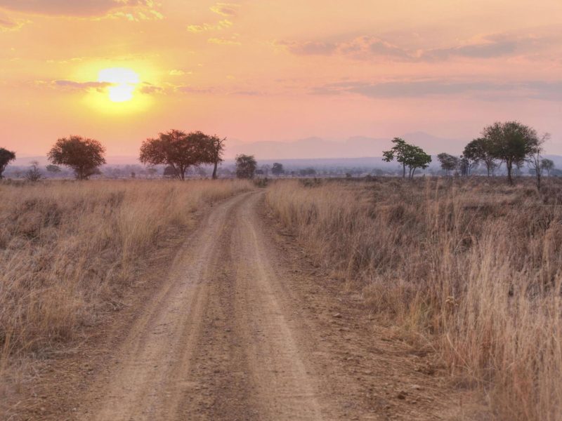 Mikumi-national-park-Tanzania-Safari-4