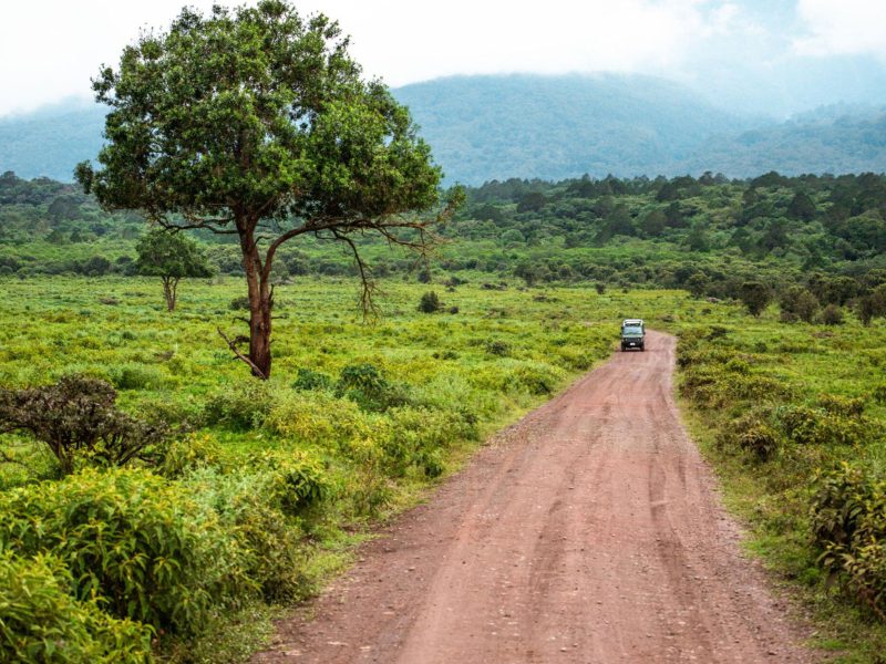 Ngorongoro-Crater---Conservation-Area-Tanzania-safari-2