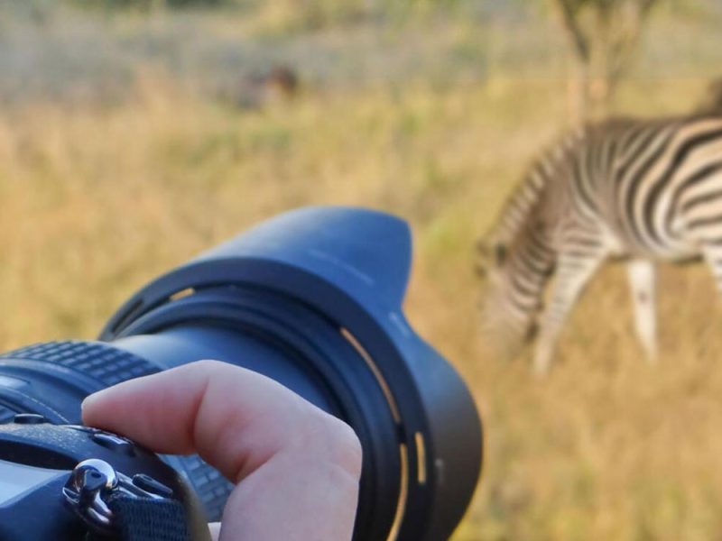 Photography-at-Serengeti-National-Pak