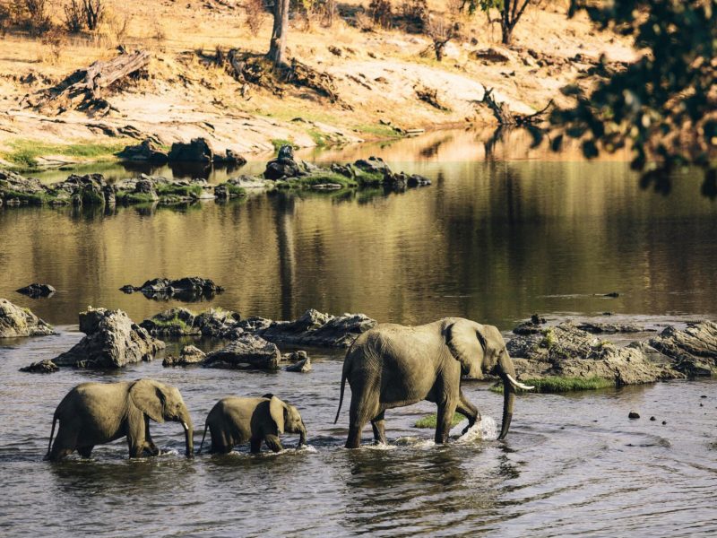 Ruaha-National-Park-Tanzania-Safari-1