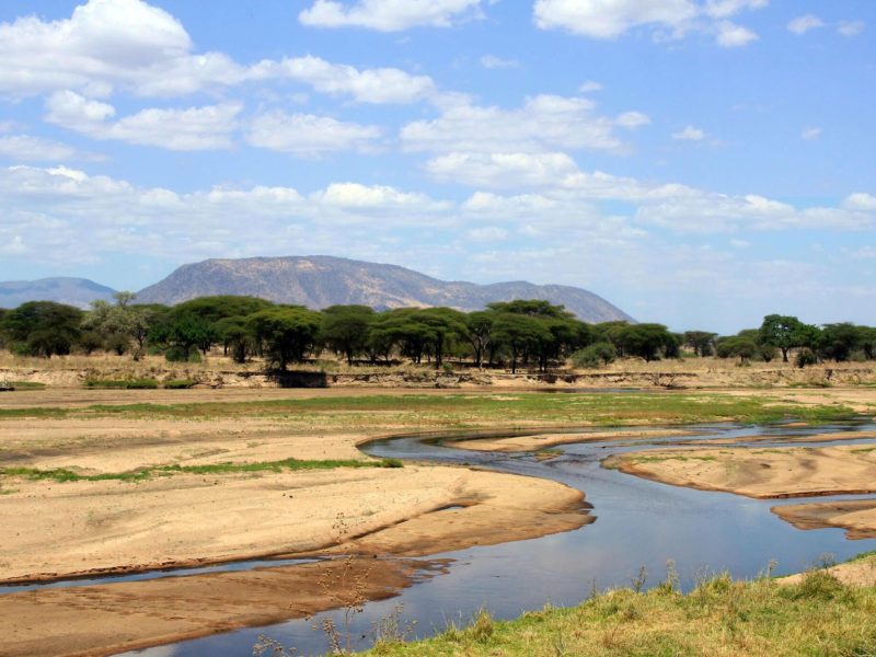 Ruaha-National-Park-Tanzania-Safari-5