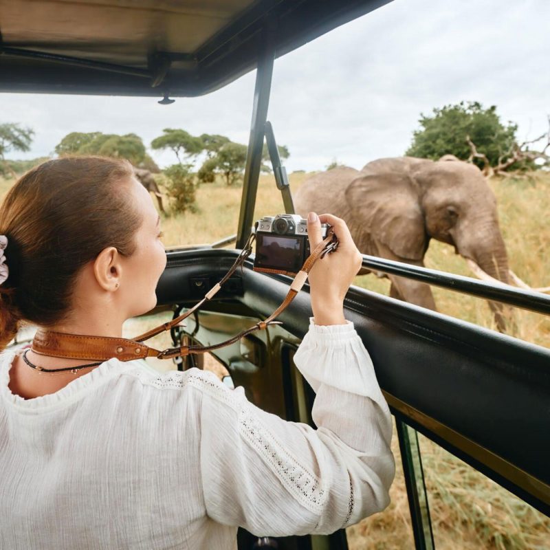 wildlife-adventure-Tanzania-safari